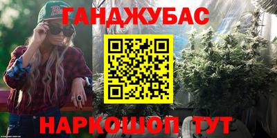 шишки Гатчина