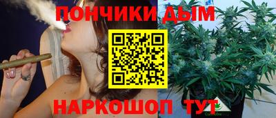шишки Гатчина