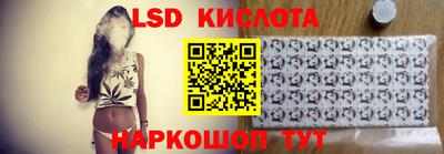 шишки Гатчина