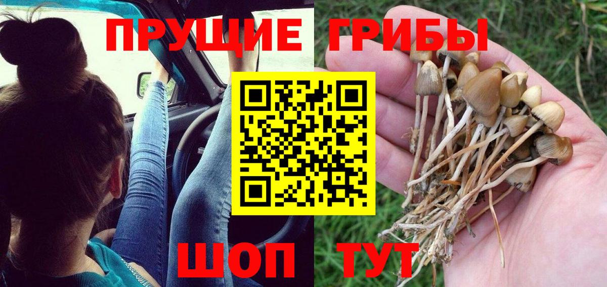Воткинск  Псилоцибиновые грибы GOLDEN TEACHER  Вход с VPN 
