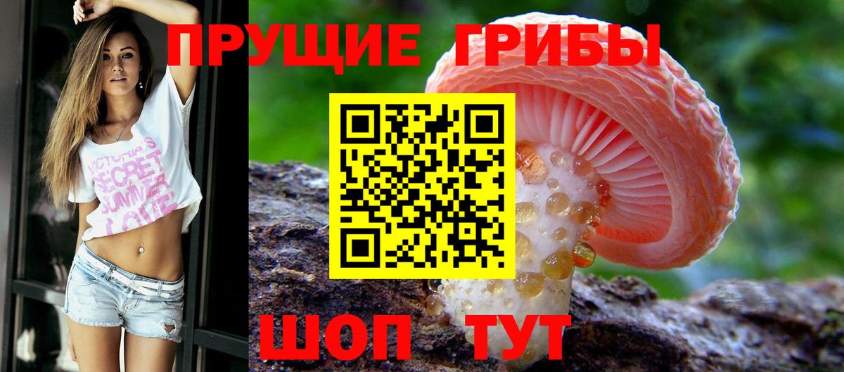 Галлюциногенные грибы мухоморы Воткинск